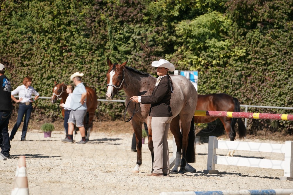 s_A_907611.JPG